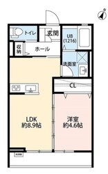 領家ハイムの物件間取画像